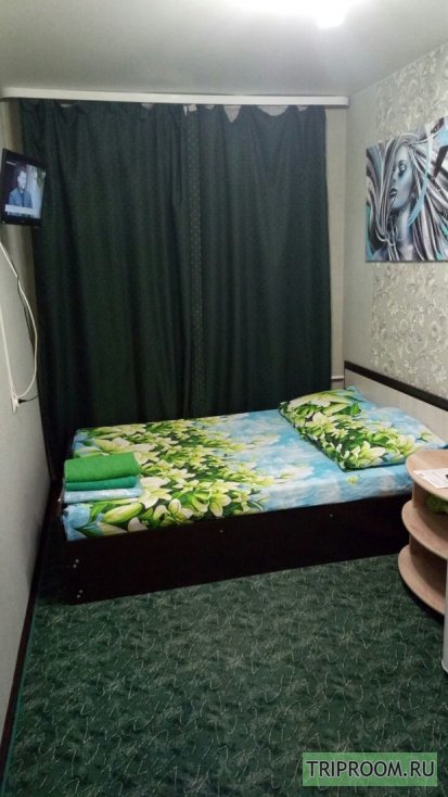 1-комнатная квартира посуточно (вариант № 64598), ул. Елизаровых, фото № 6