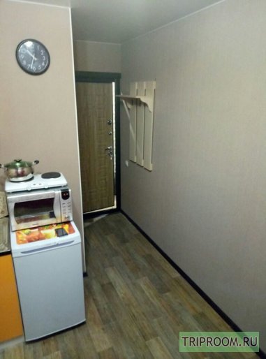 1-комнатная квартира посуточно (вариант № 51472), ул. Елизаровых улица, фото № 6